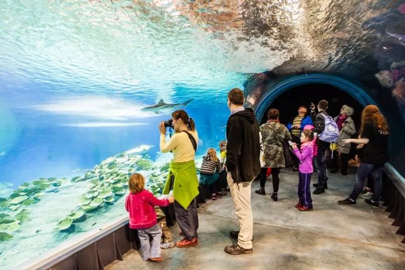 Afrykanarium