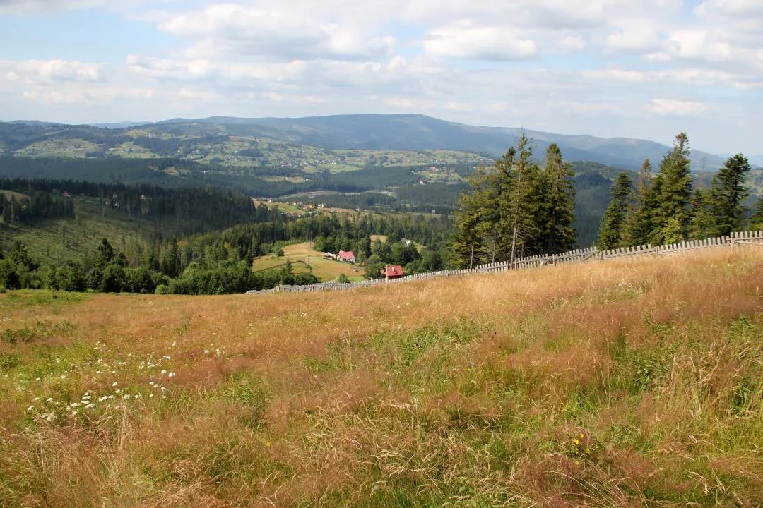 Widok na Beskid Śląski