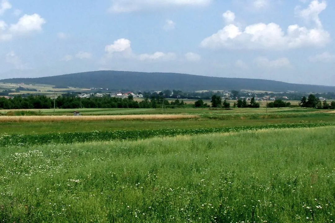 Góry Świętokrzyskie - Łysica