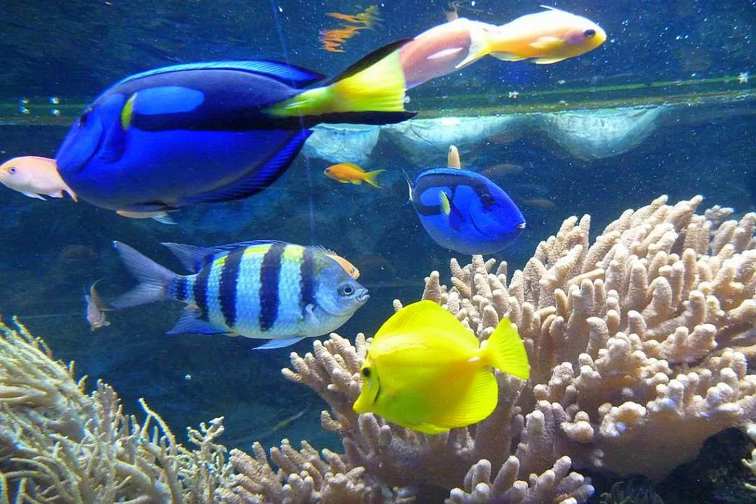 Oceanarium w Gdyni