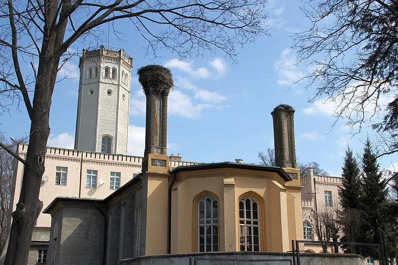Pałac Królewski w Mysłakowicach