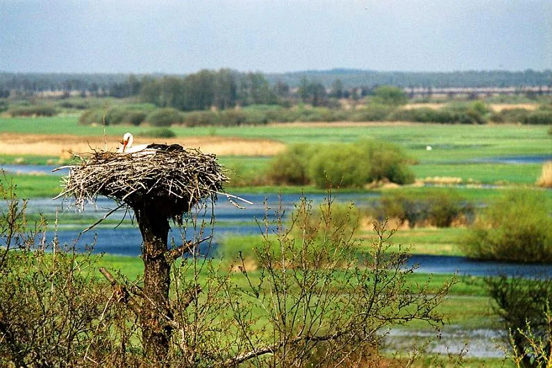 Biebrzański Park Narodowy
